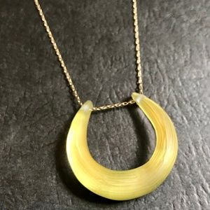 Alexis Bittar Horseshoe Lucite Pendant Necklace